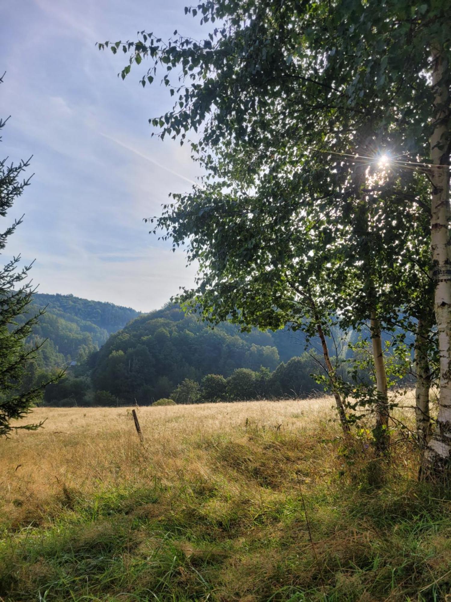Forest Camp Dom W Gorach Sowich Michalkowa Kültér fotó